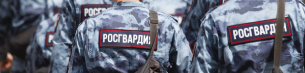 Федеральная служба войск национальной гвардии Российской Федерации (Росгвардия)